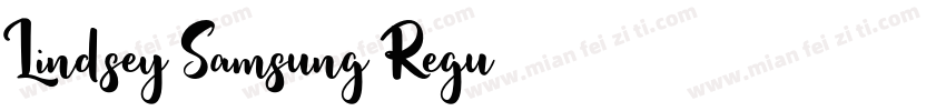 Lindsey Samsung Regu字体转换